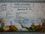 АСЛАН Империя Сфинкс